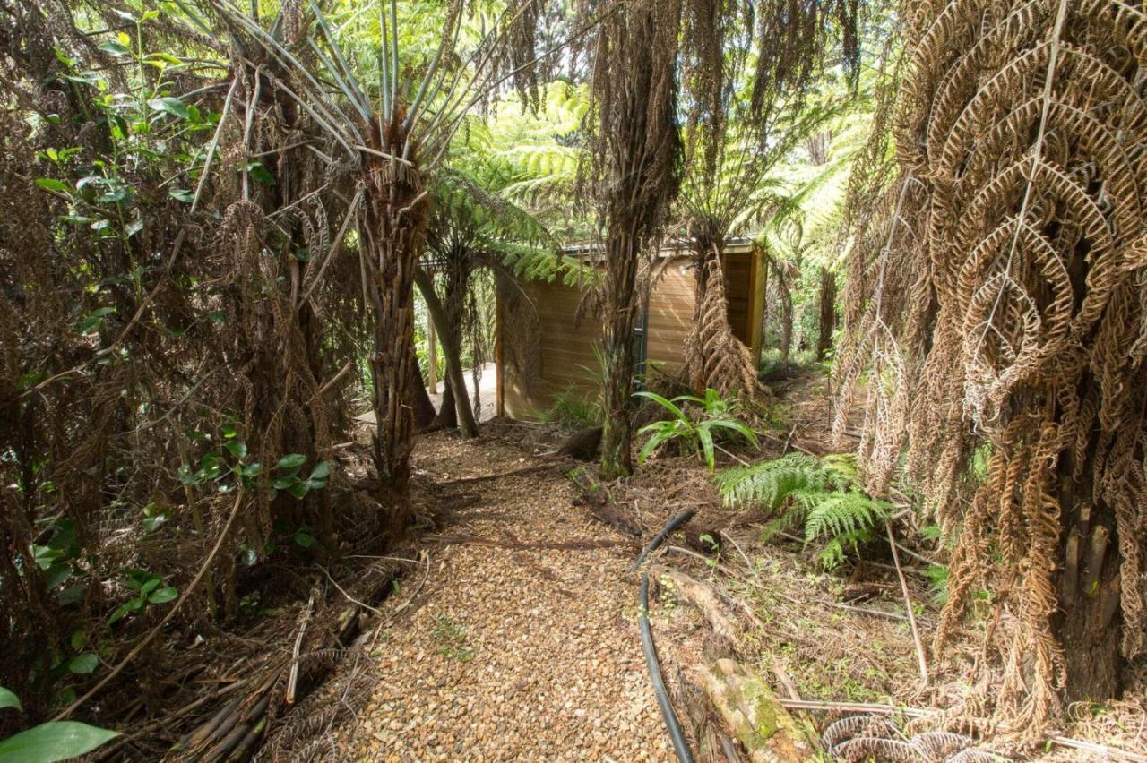Karaka Sanctuary With Spa Pool By Waiheke Unlimited Oneroa Номер фото